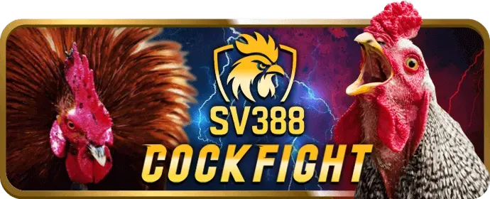 Hoàn trả cược thể thao Mu888